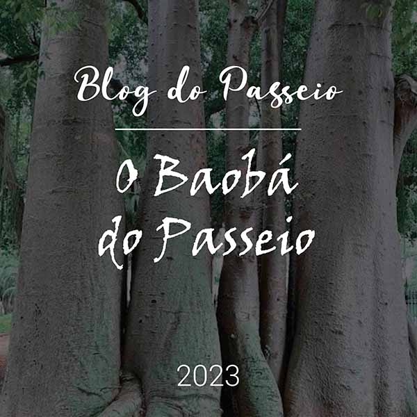 O Baobá do Passeio
